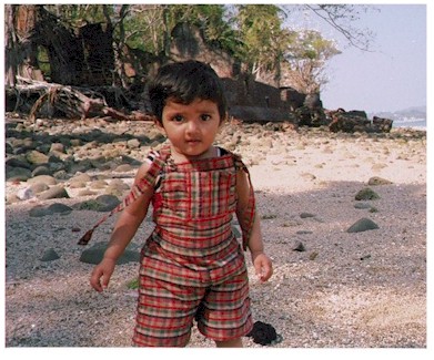 anvi1.jpg (60930 bytes)